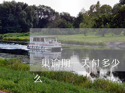 豐巢逾期一天付多少錢(豐巢拒付超時費會怎么樣)
