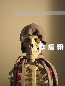 豐收信用付分期額度(豐收信用付要利息嗎)