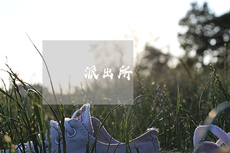 豐澤派出所
