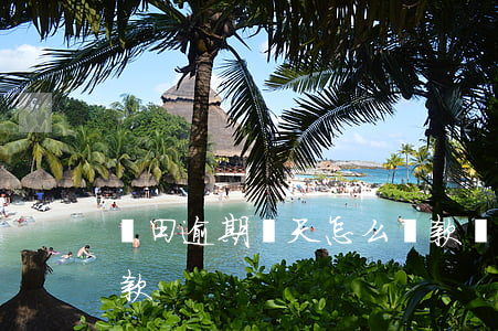 豐田逾期兩天怎么還款(車貸逾期兩天怎么還款)