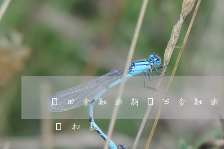豐田金融逾期(豐田金融逾期一天后,什么時候會扣款)