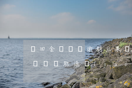 豐田金額車貸逾期后果 豐田金融查出有逾期記錄還能通過(guò)嗎