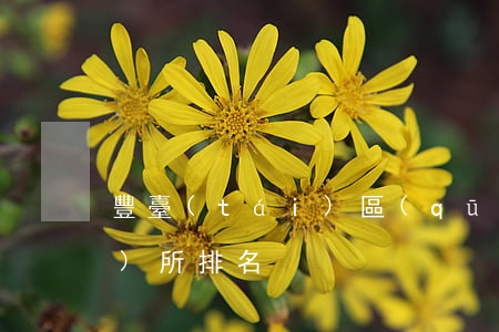 豐臺(tái)區(qū)律師事務(wù)所排名