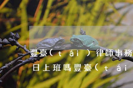 豐臺(tái)律師事務(wù)所周六周日上班嗎(豐臺(tái)區(qū)律師事務(wù)所位置)