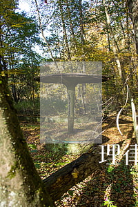 豐鎮(zhèn)市債務(wù)逾期糾紛處理律師-豐鎮(zhèn)市債務(wù)逾期糾紛處理律師