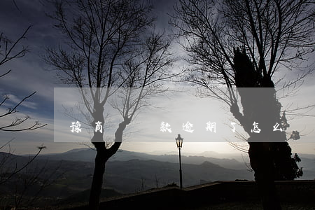 豫商貸還款逾期了怎么辦(商貸有一次逾期)