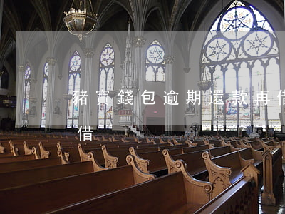 豬寶錢包逾期還款再借(豬寶錢包逾期還款再借)