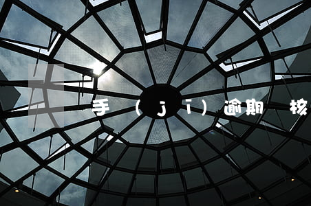 豬手機(jī)逾期審核多久