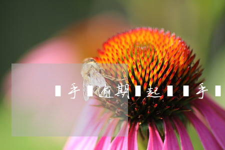豬手機逾期會起訴嗎(手機逾期會不會被起訴)