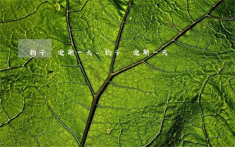 豹子貸逾期一天-豹子貸逾期一天