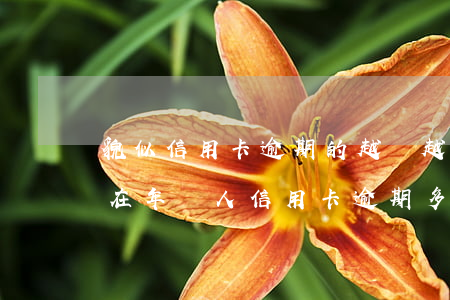 貌似信用卡逾期的越來越多(現(xiàn)在年輕人信用卡逾期多嗎)