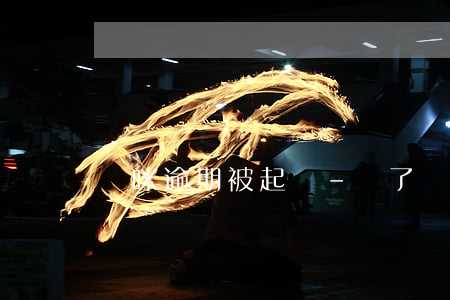 貓咪逾期被起訴-丟了別人的貓被起訴