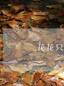 貓花花只還本金(貓花花只還本金)