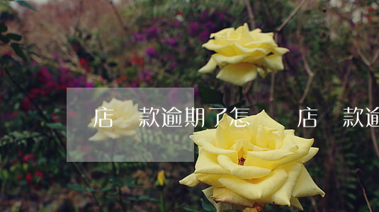 貝店貸款逾期了怎樣(貝店貸款逾期了怎樣)