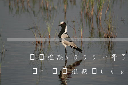貝貸逾期5000一年了會(huì)上門嗎-貝貸逾期會(huì)怎么樣