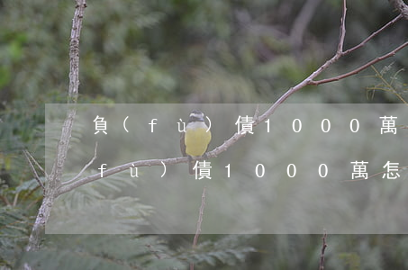 負(fù)債1000萬怎么翻身了-負(fù)債1000萬怎么翻身了呢