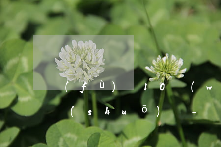 負(fù)債10萬(wàn)不敢給家里說(shuō)話-負(fù)債10萬(wàn)不敢給家里說(shuō)話怎么辦