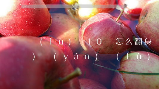 負(fù)債10萬怎么翻身經(jīng)驗(yàn)(負(fù)債十萬怎么自救月工資3000)