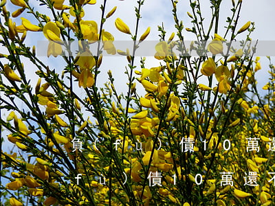 負(fù)債10萬還不上怎么辦呀-負(fù)債10萬還不起了怎么辦
