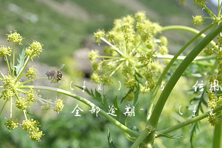 負(fù)債15萬信用卡網(wǎng)貸全部逾期-負(fù)債15萬信用卡網(wǎng)貸全部逾期怎么辦