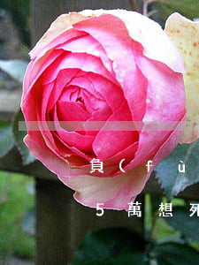 負(fù)債15萬想死-負(fù)債15萬想死的心都有了