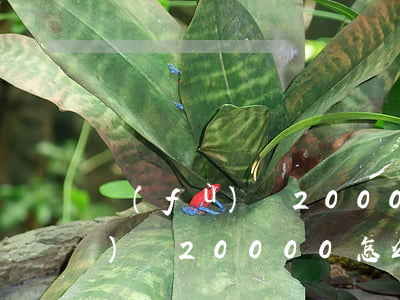 負(fù)債20000怎么辦-負(fù)債20000怎么辦呢