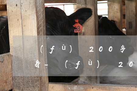 負(fù)債200多萬(wàn)怎么翻身-負(fù)債200多萬(wàn)怎么翻身賺錢(qián)
