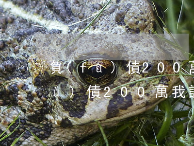 負(fù)債200萬我該怎么辦-負(fù)債200萬我該怎么辦翻身案例