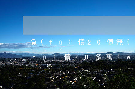 負(fù)債20億無(wú)力償還(負(fù)債20多萬(wàn))