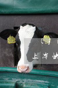 負(fù)債20萬(wàn)信用卡怎么上岸快-負(fù)債20萬(wàn)信用卡怎么上岸快