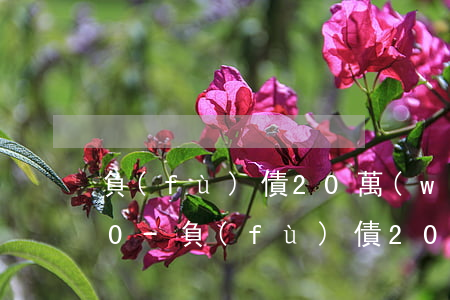 負(fù)債20萬(wàn)月薪7000-負(fù)債20萬(wàn)月薪3000怎么還