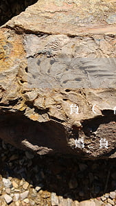 負(fù)債20萬(wàn)老婆非得離婚(負(fù)債幾十萬(wàn)老婆鬧離婚)