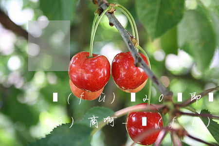 負(fù)債20萬即將逾期如何協(xié)商啊-負(fù)債20萬即將逾期如何協(xié)商啊法律