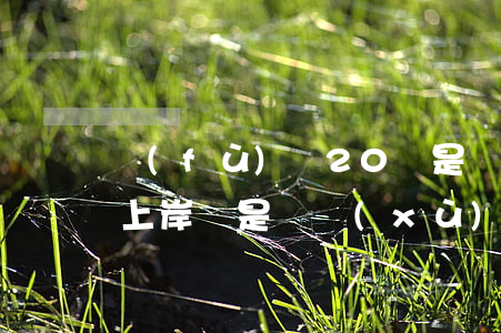 負(fù)債20萬是強(qiáng)制上岸還是繼續(xù)-負(fù)債20萬是強(qiáng)制上岸還是繼續(xù)上岸