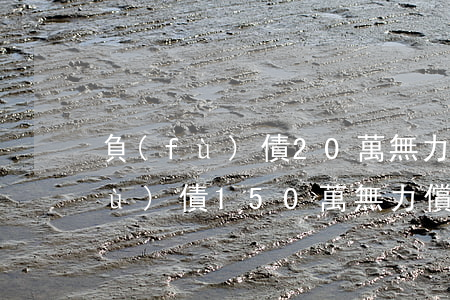 負(fù)債20萬無力償還怎么辦(負(fù)債150萬無力償還)
