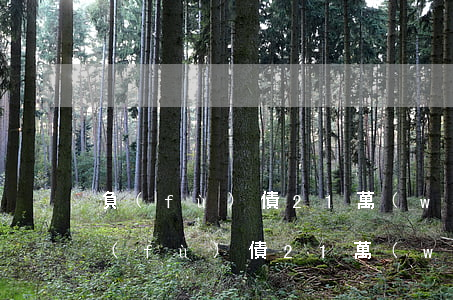 負(fù)債21萬(wàn)怎么還-負(fù)債21萬(wàn)怎么還清