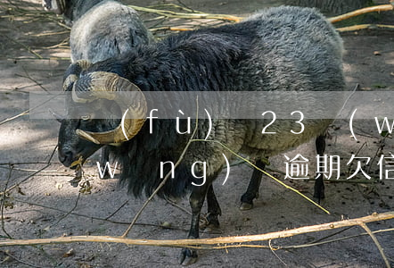 負(fù)債23萬(wàn)信用卡網(wǎng)貸逾期(欠信用卡網(wǎng)貸幾十萬(wàn))