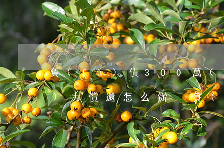 負(fù)債300萬(wàn)無(wú)力償還怎么辦-負(fù)債300萬(wàn)無(wú)力償還怎么辦?