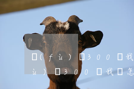 負(fù)債300萬我該怎么辦-負(fù)債300萬我該怎么辦呢