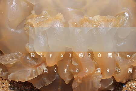 負(fù)債30萬(wàn) 我該怎么辦-負(fù)債30萬(wàn)我該怎么辦