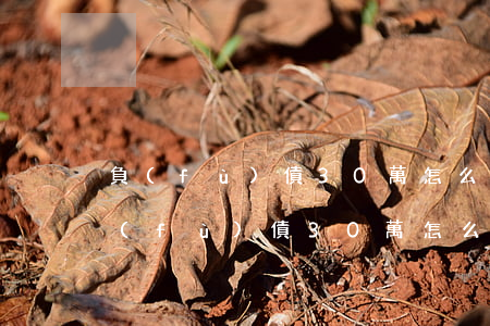 負(fù)債30萬怎么辦壓力大不大-負(fù)債30萬怎么辦壓力大不大呢