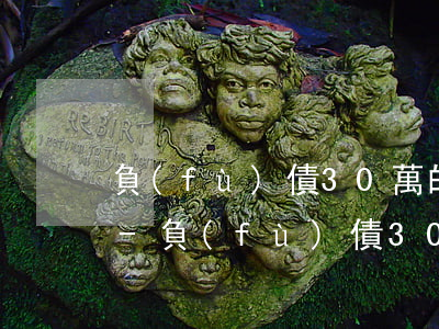 負(fù)債30萬的人生還有希望嗎知乎-負(fù)債30萬的人生還有希望嗎知乎小說