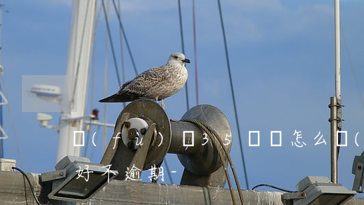 負(fù)債35萬該怎么規(guī)劃好不逾期-