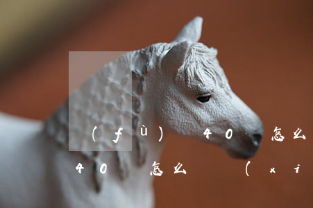 負(fù)債40萬怎么辦-負(fù)債40萬怎么辦,現(xiàn)在身無分文
