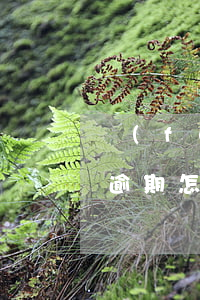 負(fù)債50萬(wàn)信用卡全部逾期怎么辦-負(fù)債50萬(wàn)信用卡全部逾期怎么辦理