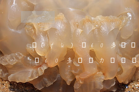 負(fù)債60多萬無力償還(負(fù)債60多萬無力償還會(huì)怎樣)