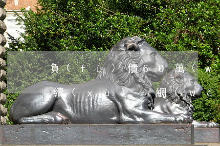 負(fù)債60萬(wàn)生活怎么繼續(xù)-網(wǎng)賭負(fù)債60萬(wàn)生活怎么繼續(xù)