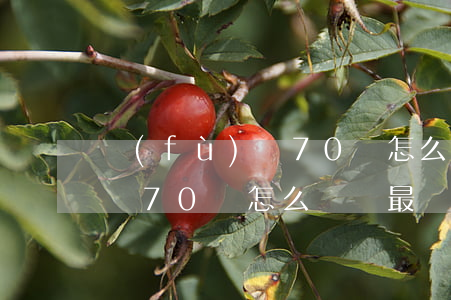 負(fù)債70萬怎么還債-負(fù)債70萬怎么還債最劃算