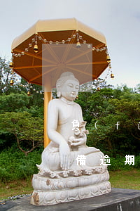 負(fù)債80萬信用卡準(zhǔn)備逾期(信用卡80萬逾期還不起)