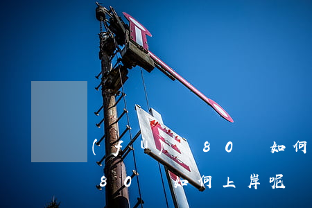 負(fù)債80萬如何上岸-負(fù)債80萬如何上岸呢